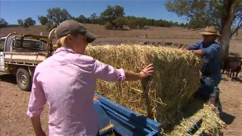 The package aims to offer financial and mental health support to struggling farmers. Image: 9News