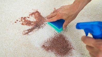 Carpet cleaning stain removal