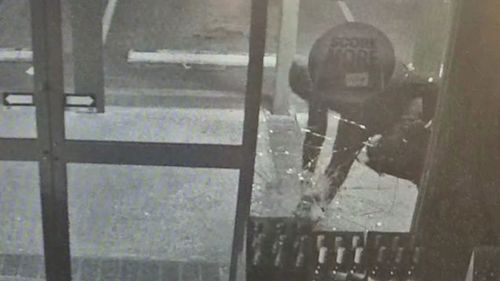 A mother and son are among a group of alleged thieves arrested after a smash and grab crime spree across Sydney's west.