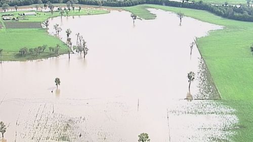 Aerial vision has shown normally green fields turned to brown marshes as water levels continue to rise south west of Brisbane. 