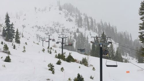 Australian siblings California ski resort 