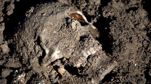 The Mass Graves Directorate of the Kurdish Regional Government shows a human skull in a mass grave containing Yazidis killed by Islamic State militants in the Sinjar region of northern Iraq. File photo dated May 2015.