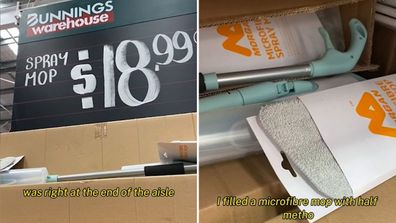 Bunnings, cleaning hacks, windows