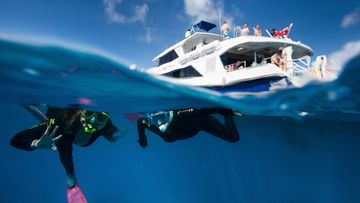 Tourists snorkel over Flynn Reef off the coast of Cairns.
