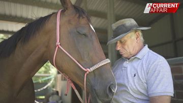 How a rescue horse saved an ex-cop with PTSD
