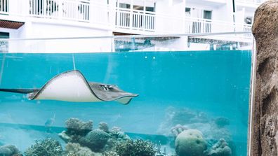 Guests can touch and learn about marine life, and feed Luanne, the sting ray.