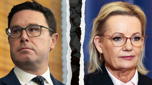 David Littleproud ve Sussan Ley.