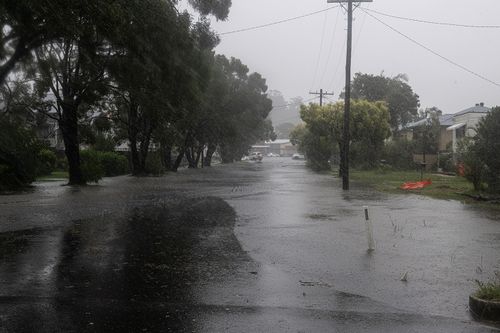 Cyclone Alfred: Lismore watching crucial levee anxiously as rivers rise