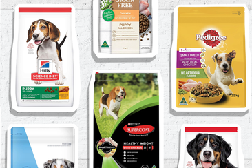 9PR: Feed your dog for less with these bulk buy bargains