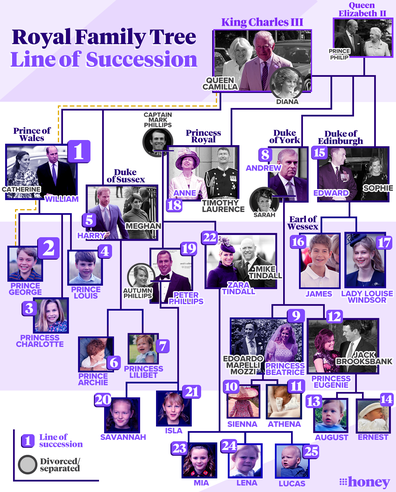 The British royal family line of succession, family tree, updated January 30 2025.