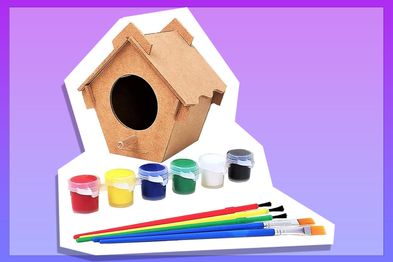 9PR: DIY Bird House Painting Kit