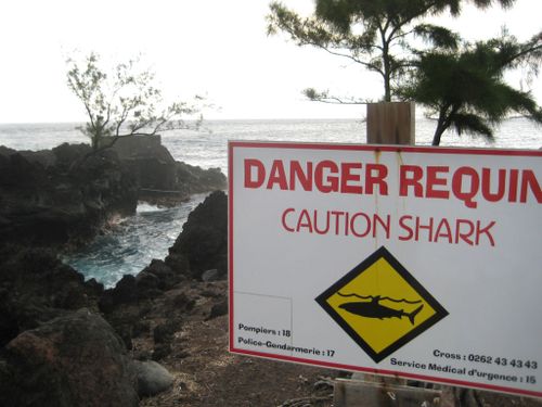 A sign warns prospective swimmers of the danger of sharks on the shores of La Réunion. 