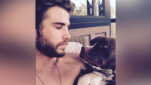 Liam Hemsworth reveals his ‘true love’ in an adoring photo