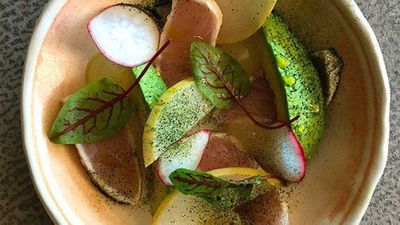 Recipe:&nbsp;<a href="https://kitchen.nine.com.au/2016/05/05/09/56/matt-morans-seared-kingfish-with-radish-avocado-and-wasabi" target="_top">Matt Moran's seared kingfish with radish, avocado and wasabi</a>