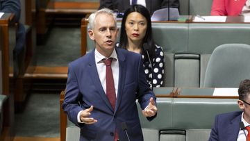 Immigration Minister Andrew Giles is rushing to introduce the bill before a High Court hearing in April.