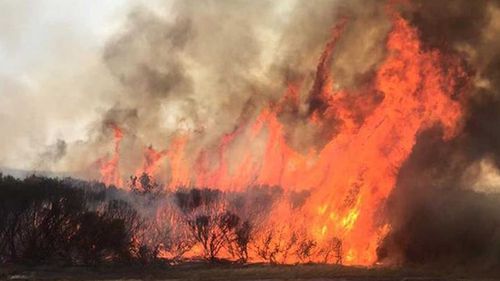 The Esperance bushfire. (9NEWS)