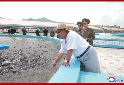 North Korea&rsquo;s Ministry of Foreign Affairs also claimed "he repeatedly asked the officials and employees of the factory to mass-produce diverse tasty and highly nutritious pickled fish goods in the spirit of devotedly serving the people and thus make the Party&rsquo;s noble policies of loving the people pay off in reality and make people actually benefit from them."