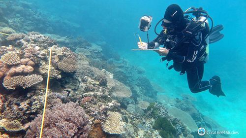 Northern Great Barrier Reef in dire straits, study finds