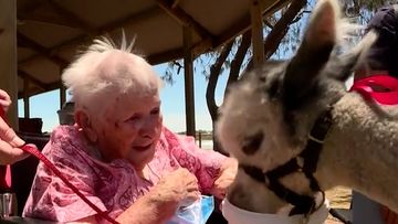 New South Wales centenarian Elma had one wish for her 106th birthday: to meet an unusual farm animal. 