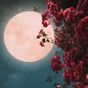 Chaos is on the way with April's pink full moon