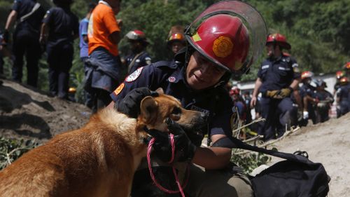 A fireman attending to a dog saved from the site of the landslide. (AAP)