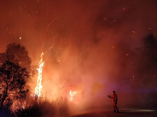 Firefighters are tirelessly battling a bushfire in Peregian Springs on the Sunshine Coast.
