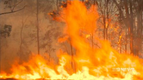 Homes were evacuated from the site of the blaze.