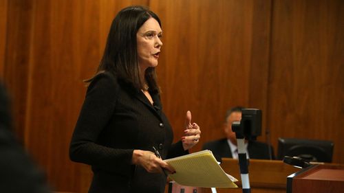 Defence attorney Kathleen Zellner prepares to question a witness