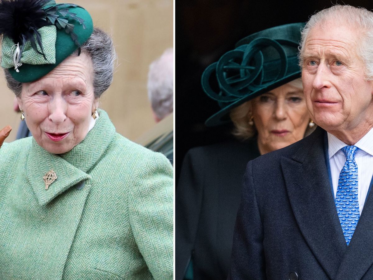 Princess Anne is the 'secret weapon' King Charles and an 'exhausted' Camilla  have been relying on - 9Honey