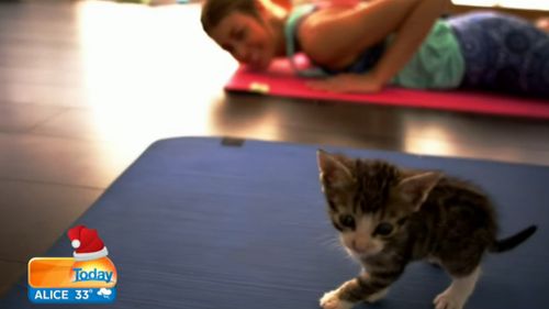 Yoga lovers can also spend time with adorable kittens. 