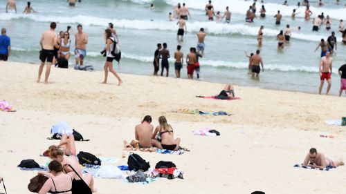 Sydney set to swelter through heatwave