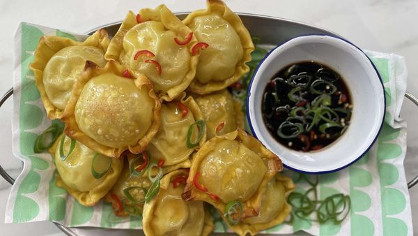 Easy wonton dumplings in the pie maker