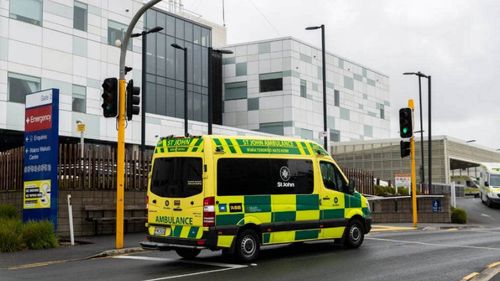 A newborn baby bitten by a dog in Enderley, Hamilton was rushed to Waikato Hospital in New Zealand by St John Ambulance on Sunday night.
