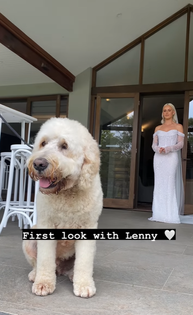 Adorable moment DJ Tigerlily's dog Lentils sees her bride reveal on her wedding day.