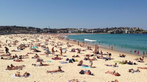 Total fire ban for Sydney, parts of NSW with temps set to soar