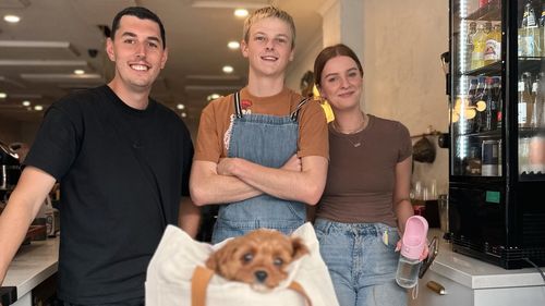 The Daily Cafe and Foodstore became inundated with journalists, visitors and cameramen hoping to score a hot coffee and breakfast before Erin Patterson's latest day in court.