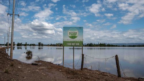 A sign a sign indicating ÔAll year around turfÕ in front of an area affected by floods in the suburb ofÊ Wilberforce on March 11, 2022. Residents are beginning to return to their homes across NSW to assess the damage following unprecedented flooding across Australia's east coast. Photo: Flavio Brancaleone/The Sydney Morning Herald