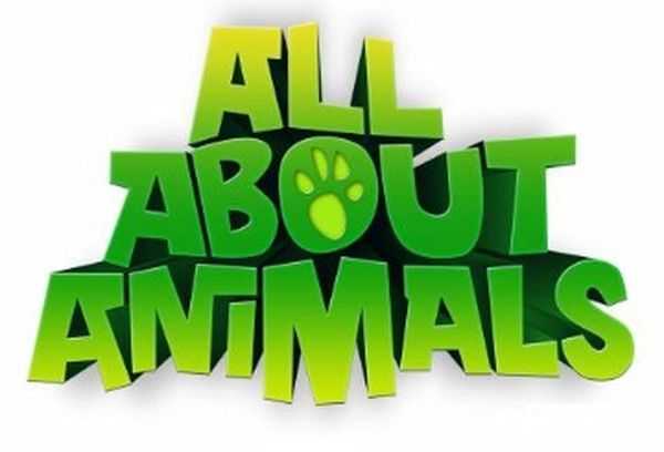 All About Animals