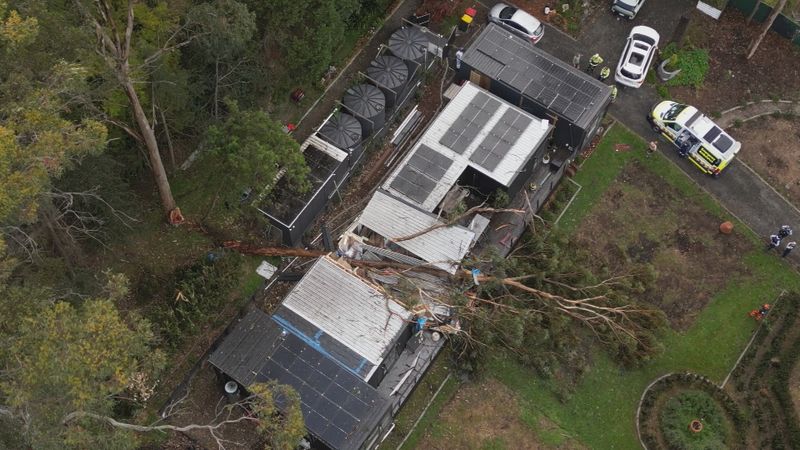 Damaging winds cause destruction in Sydney