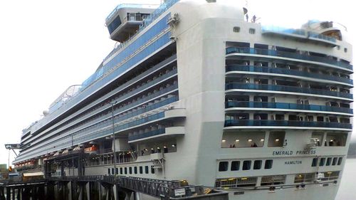 Kenneth Manzanares bashed his wife to death on the Emerald Princess cruise ship.