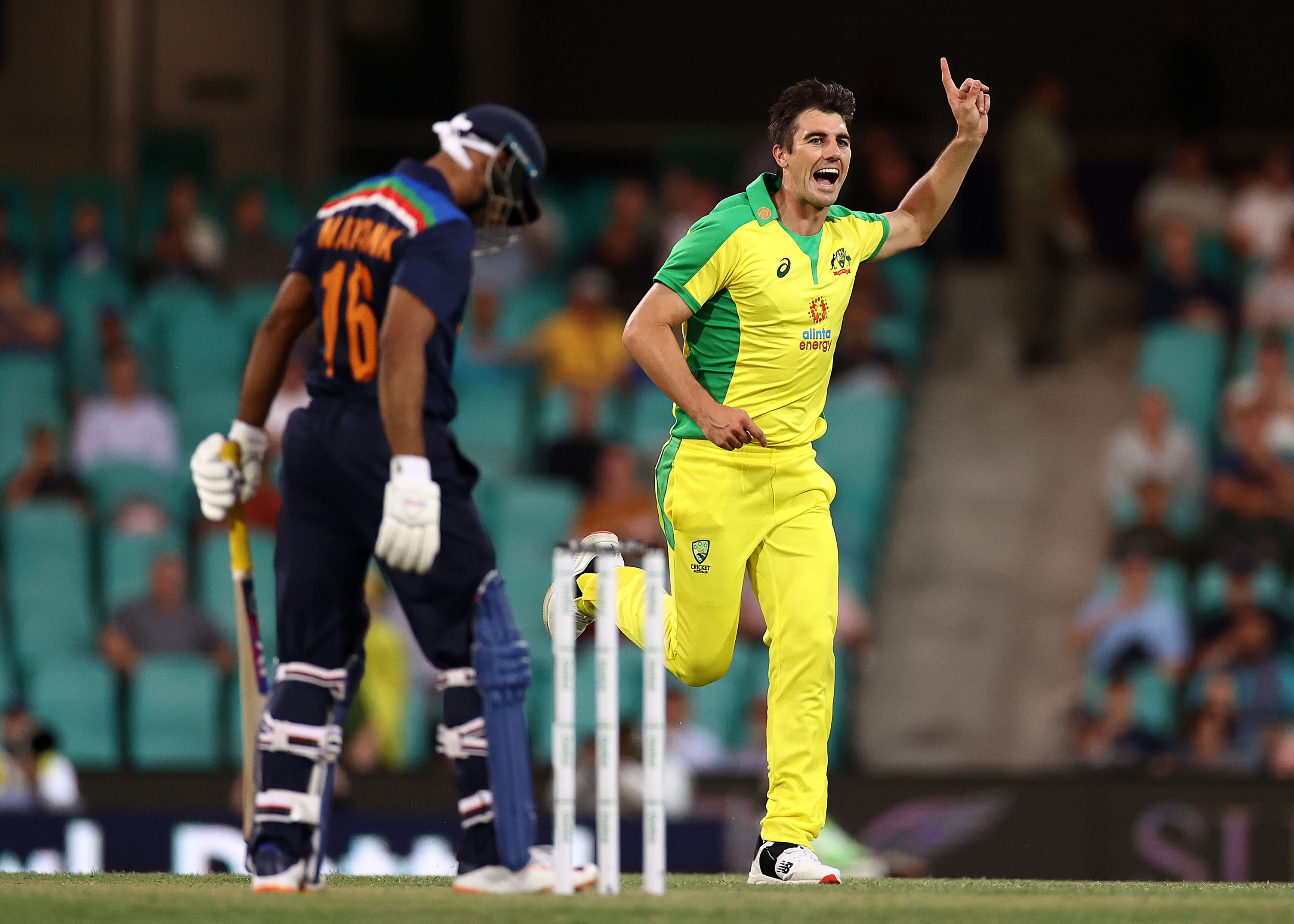Pat Cummins of Australia celebrates after taking the wicket of Mayank Agarwal.