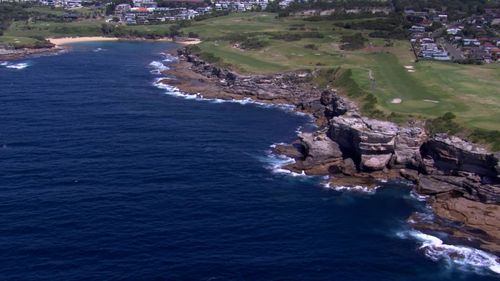 Six SMART drumlines have been installed from Little Bay Beach to Long Bay.  