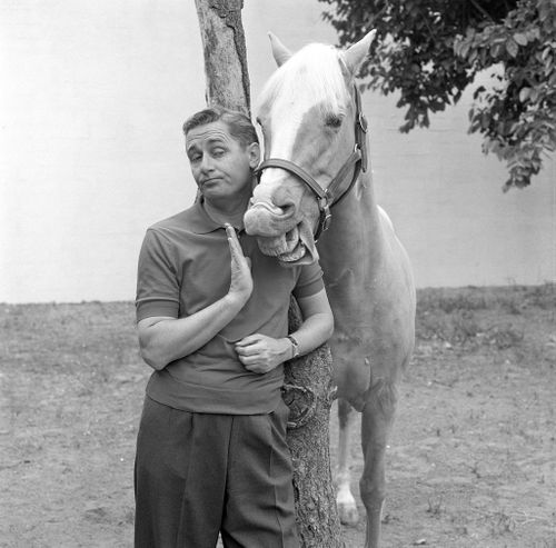 Popular Mister Ed actor Alan Young dies aged 96