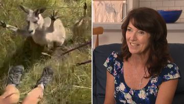 A Sydney woman was left unable to work for months after she was attacked by a kangaroo while trying to rescue a joey stuck in a fence in NSW&#x27;s Blue Mountains.Melanie Stubbs, from Campbelltown, had been hiking ﻿in the Megalong Valley near Katoomba with friends in December when the group spotted a joey hanging from a wire fence by its back legs.﻿﻿