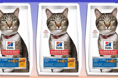 9PR: Hill's Science Diet Oral Care Adult Chicken Rice & Barley Dry Cat Food for Dental Health