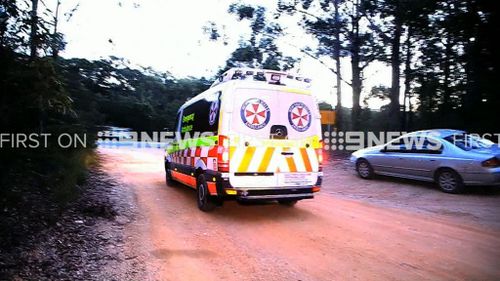 One boy was taken to hospital for treatment. (9NEWS)