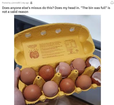 Egg shells in the carton
