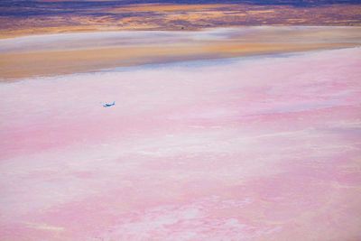 This Melbourne Lake Just Turned Bright Pink 9travel 5 Of 14attribution South Australia Tourism Commission