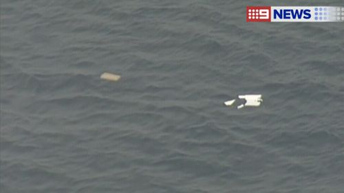 A plane has crashed near Barwon Heads. (9NEWS)