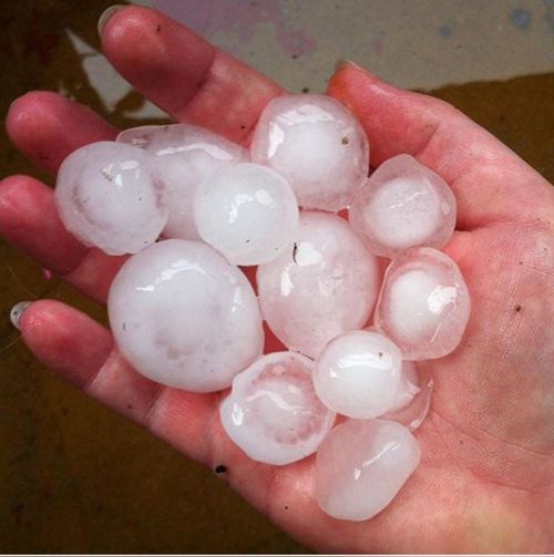 Large hail was reported across Sydney's south.  (Instagram/Rebecca Murphy)